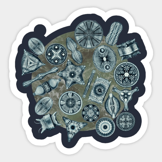 Ernst Haeckel Cerulean Diatoms on Mossy  Water Sticker by Scientistudio